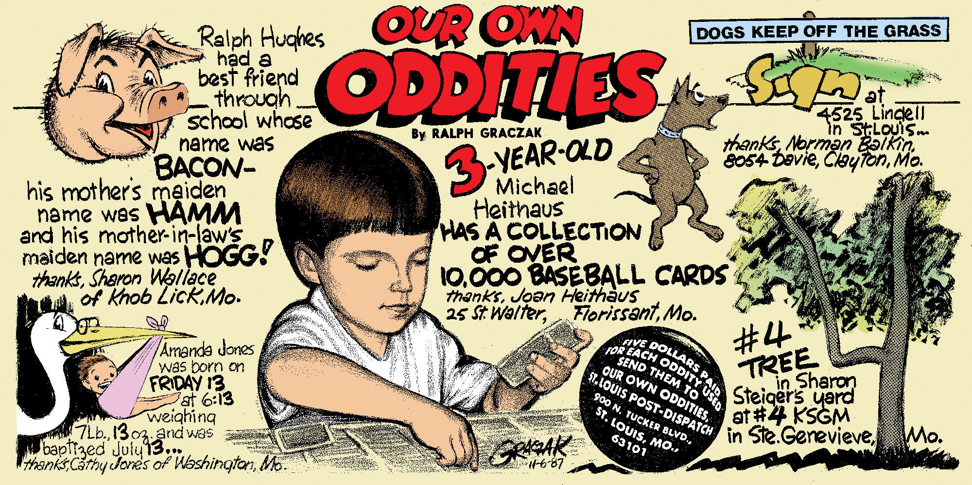 Our Own Oddities